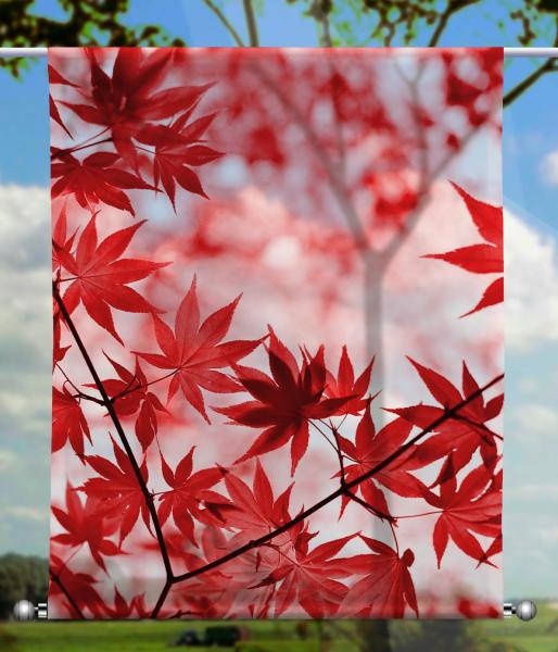 Roter Herbst, Scheibenhänger eckig